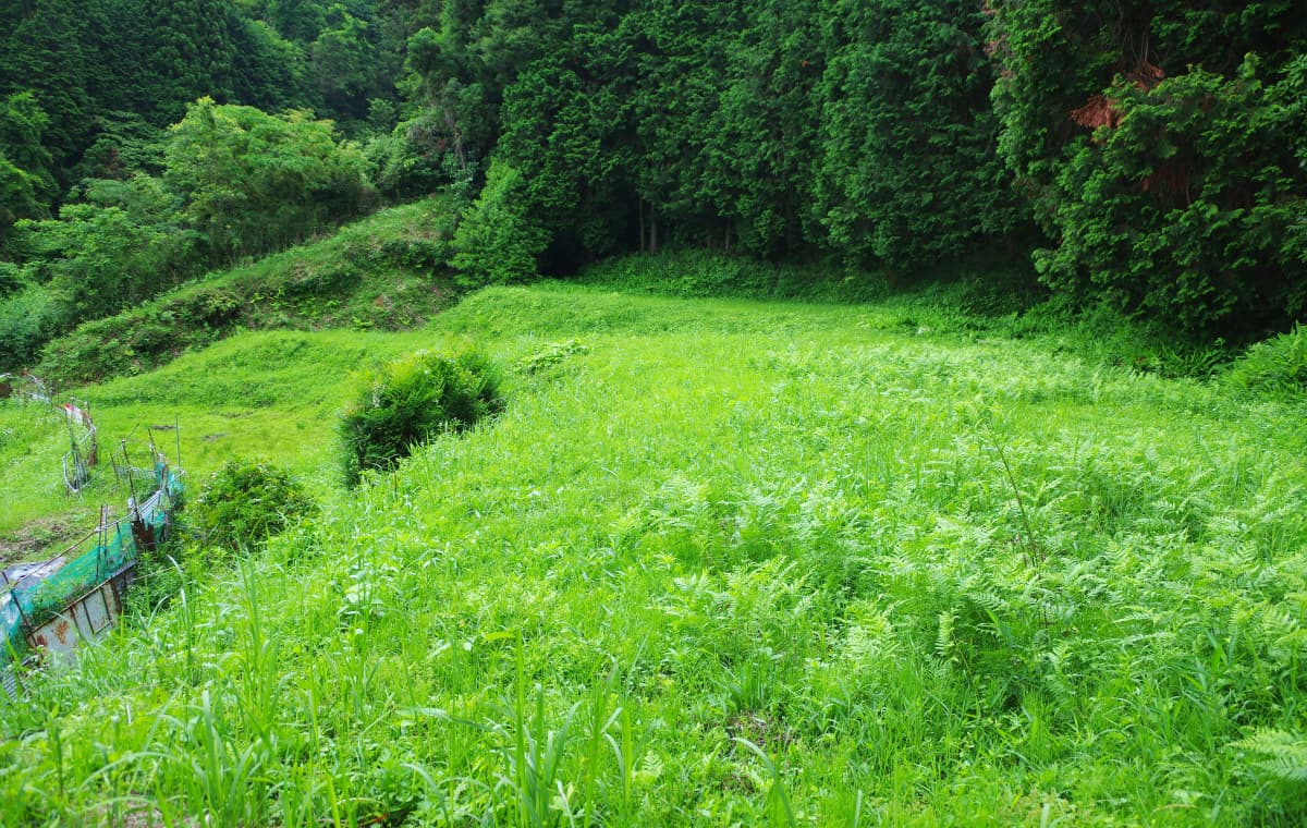 遊休農地の写真